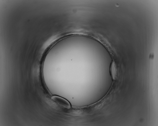 X0000102490344200808081101