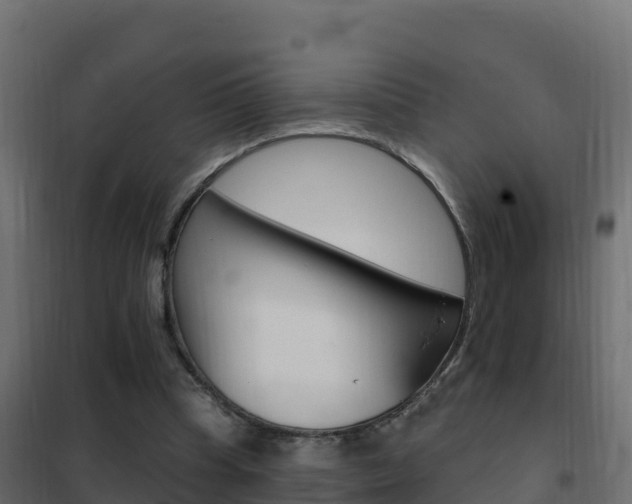 X0000102490345200808081101