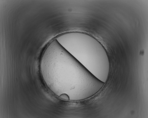 X0000102490347200808081101