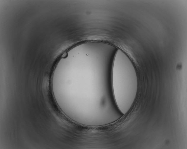 X0000102490348200808081101