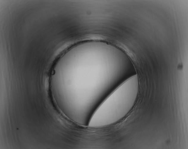 X0000102490350200808081101