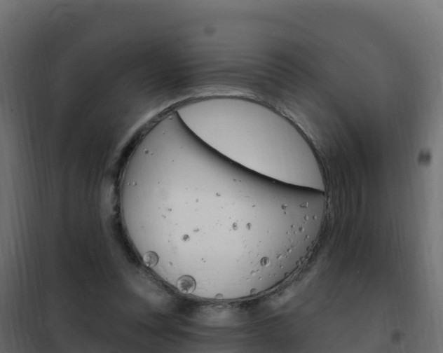 X0000102490351200808081101