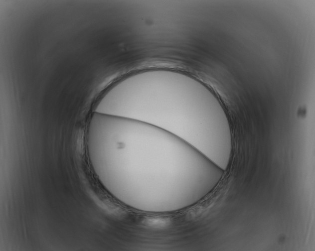 X0000102490352200808081101