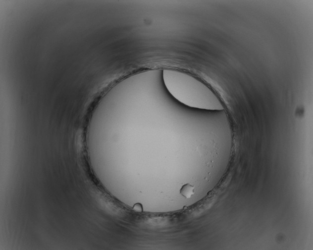 X0000102490353200808081101