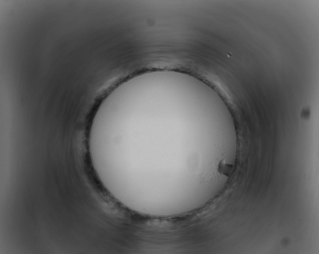 X0000102490354200808081101