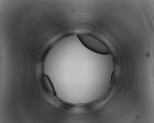 X0000102490356200808081101