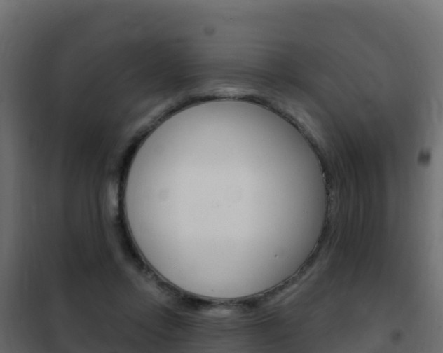 X0000102490358200808081101
