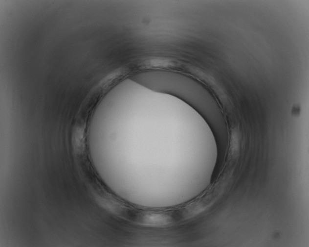 X0000102490360200808081101