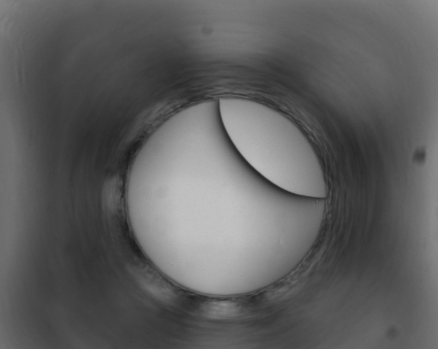 X0000102490361200808081101