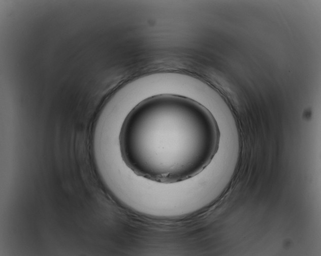 X0000102490362200808081101