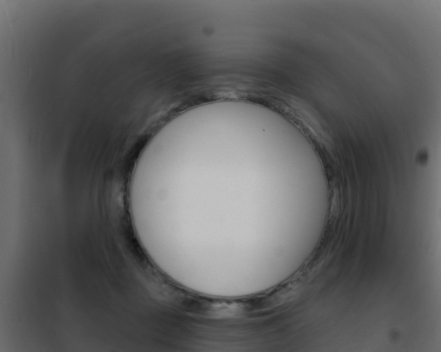 X0000102490363200808081101