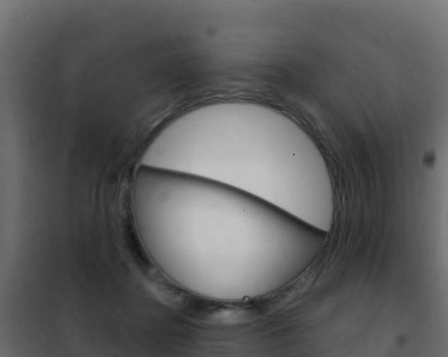X0000102490364200808081101
