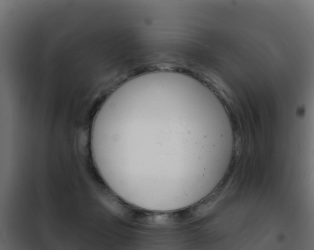 X0000102490365200808081101