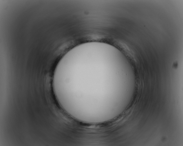X0000102490366200808081101