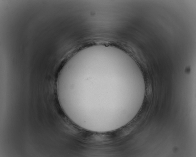 X0000102490367200808081101