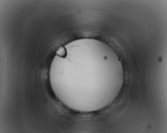 X0000102490368200808081101