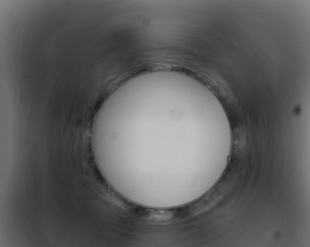 X0000102490369200808081101