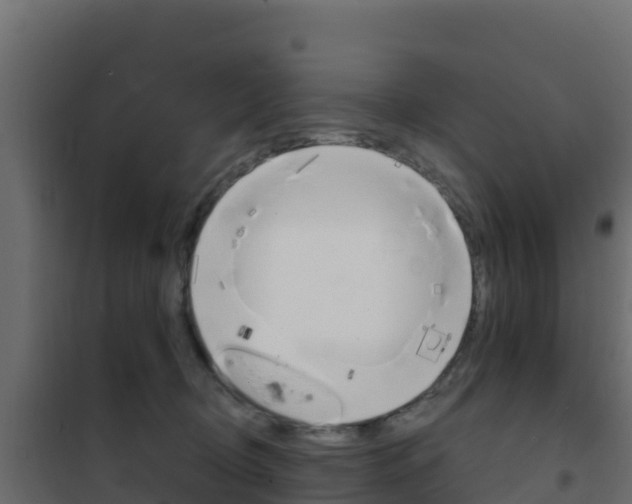 X0000102490370200808081102