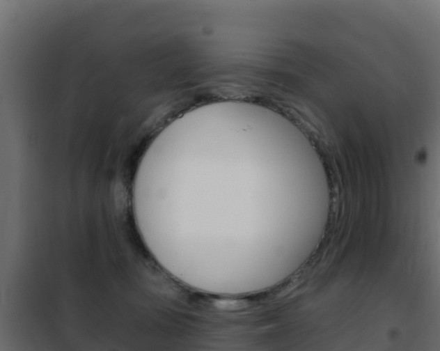 X0000102490371200808081102