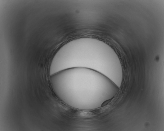 X0000102490372200808081102