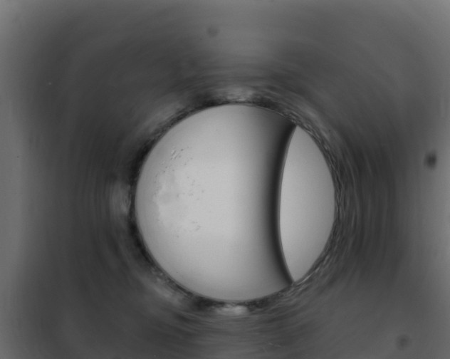 X0000102490374200808081102