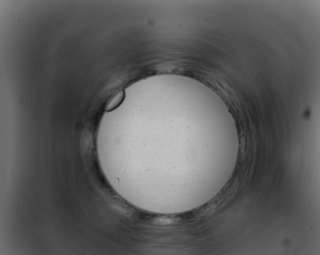 X0000102490375200808081102