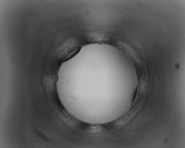 X0000102490376200808081102