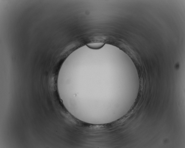 X0000102490378200808081102