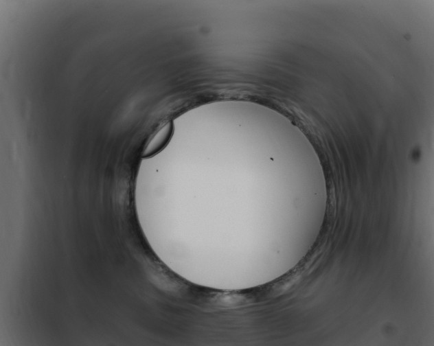 X0000102490379200808081102