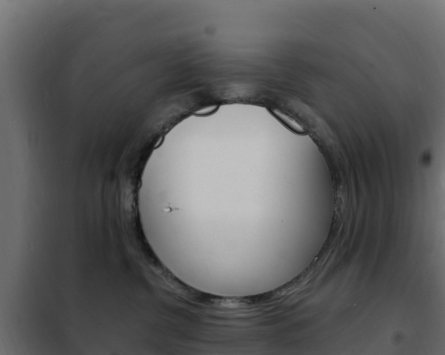 X0000102490380200808081102