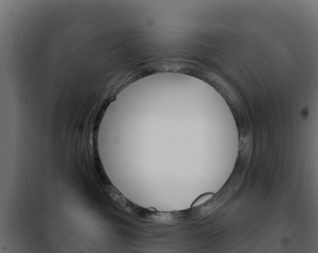 X0000102490381200808081102