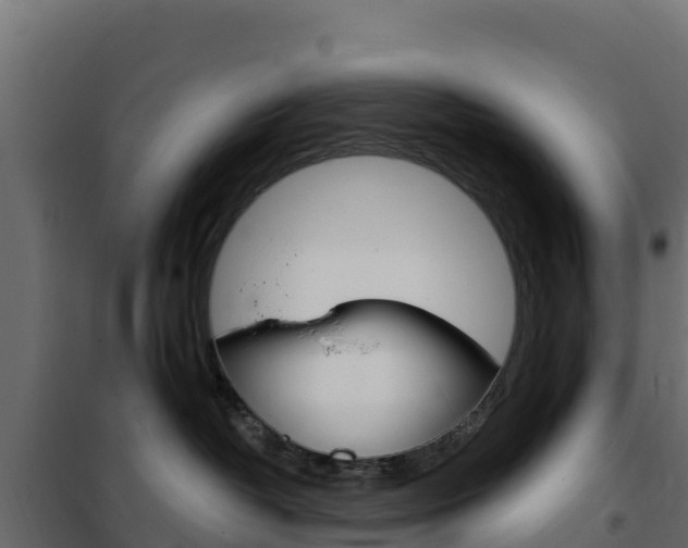 X0000102490382200808081102