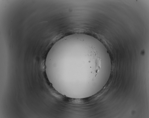 X0000102490383200808081102