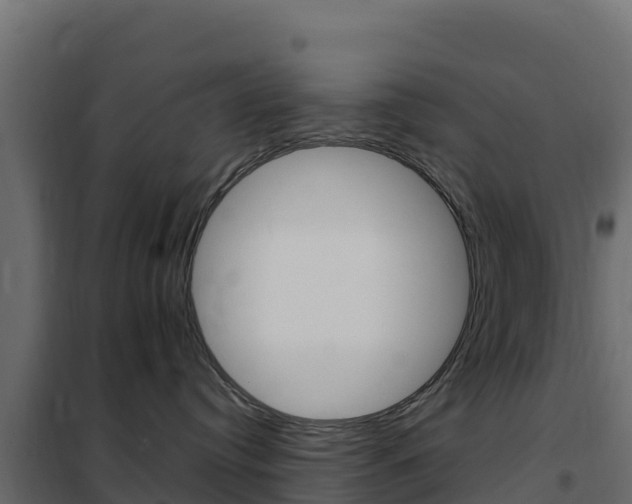 X0000102490384200808081102
