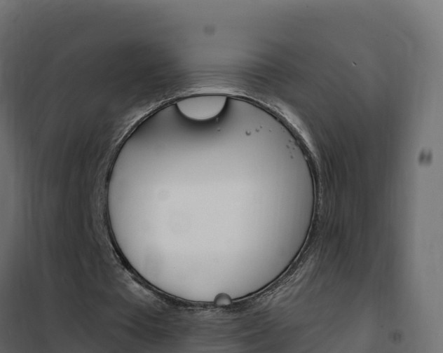 X0000102490385200808081101
