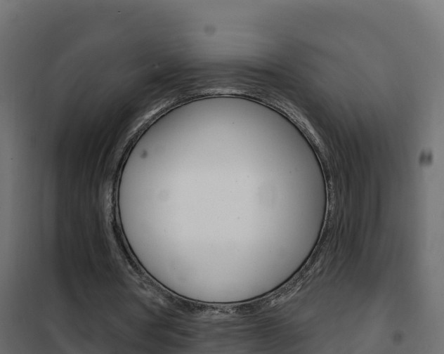 X0000102490386200808081101