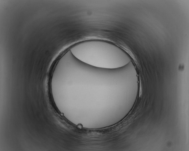 X0000102490387200808081101