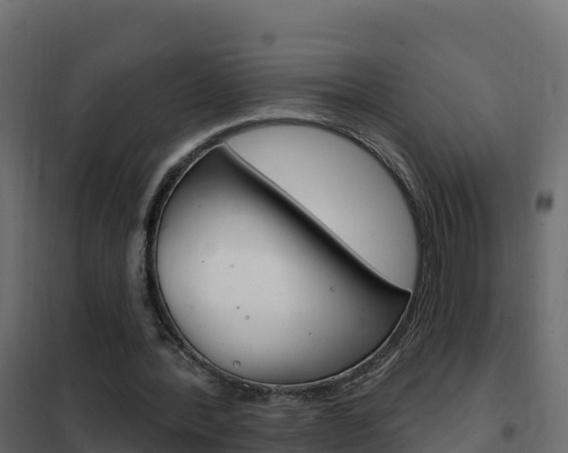 X0000102490388200808081101