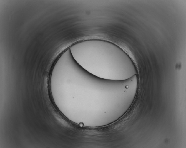 X0000102490389200808081101