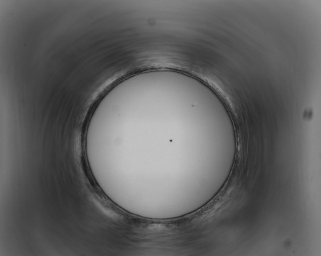 X0000102490390200808081101