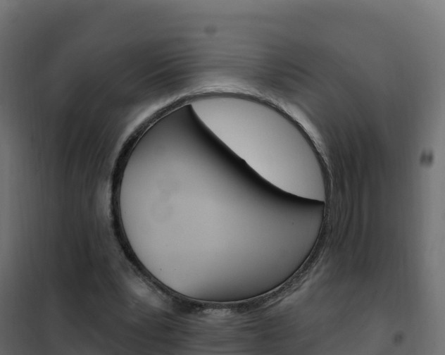 X0000102490391200808081101