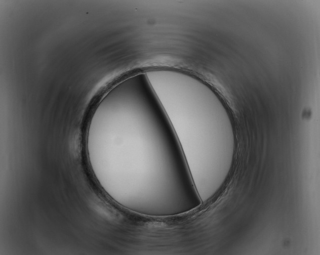 X0000102490392200808081101