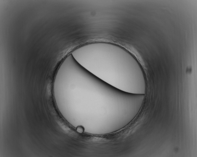 X0000102490393200808081101