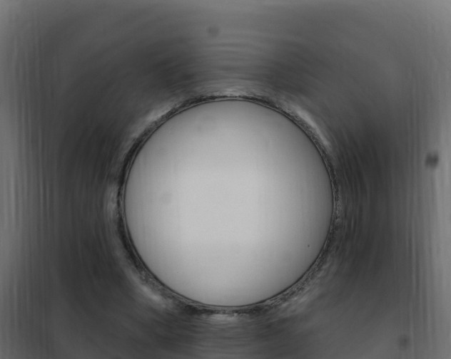 X0000102490394200808081101