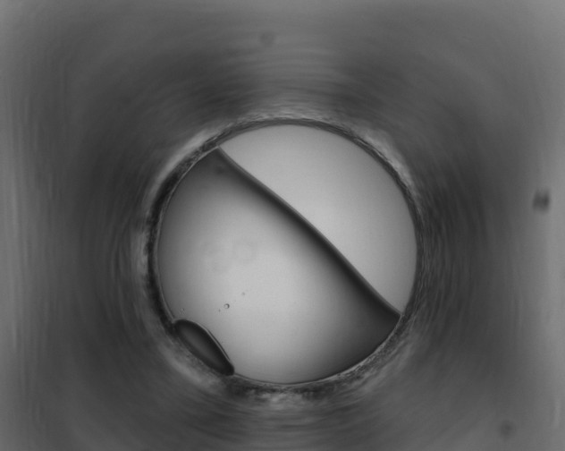 X0000102490395200808081101