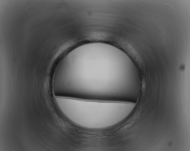 X0000102490396200808081101