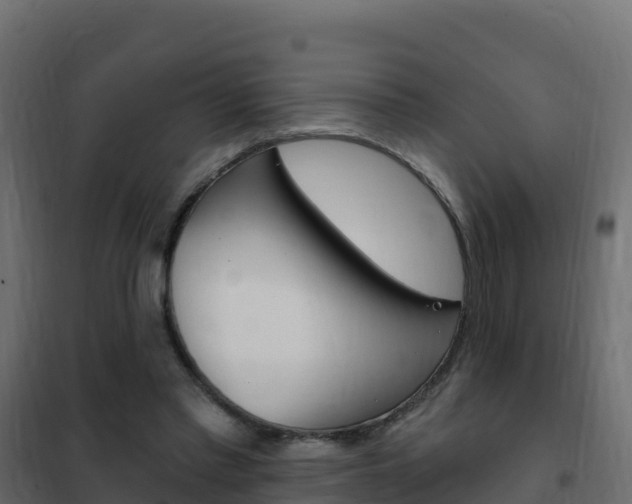 X0000102490397200808081101