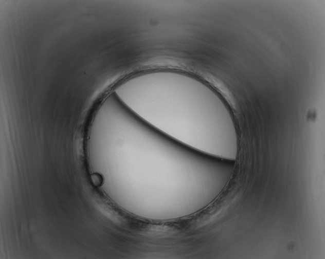 X0000102490399200808081101