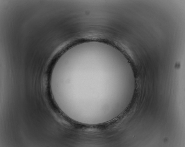 X0000102490400200808081101