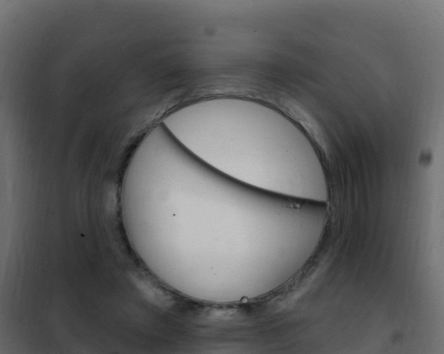 X0000102490401200808081101